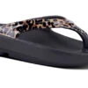 'OOFOS' Women's OOlala Thong Limited Edition - Black / Leopard -Shoes Boot Store 1400Leopard shot2 1024x1024@2x