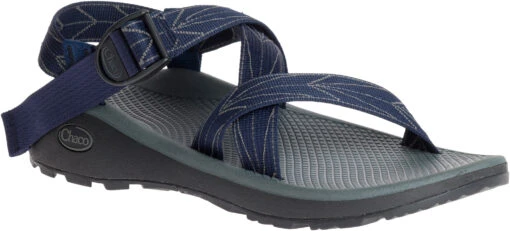 'Chaco' Men's ZCloud Sandal - Aero Blue -Shoes Boot Store CHAM J105969 042616 S17