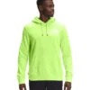 'The North Face' Men's Box NSE Pullover Hoodie - Sharp Green -Shoes Boot Store NF0A4761 HDD back 1024x1024@2x